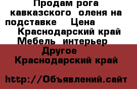 Продам рога кавказского  оленя на подставке. › Цена ­ 25 000 - Краснодарский край Мебель, интерьер » Другое   . Краснодарский край